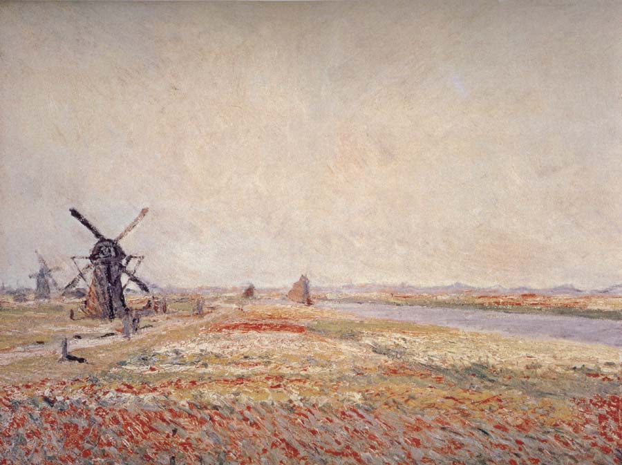 Field of Flowers and Windmills Near Leiden